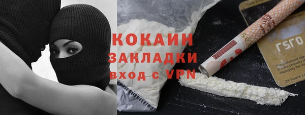 прущий лед Алзамай