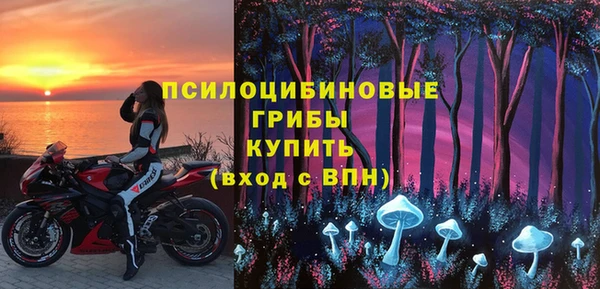 хмурый Алексин