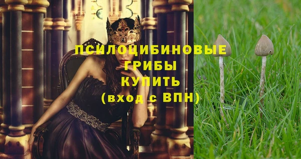 молекула духа Алексеевка