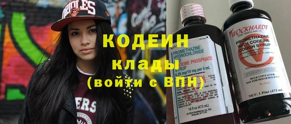 прущий лед Алзамай