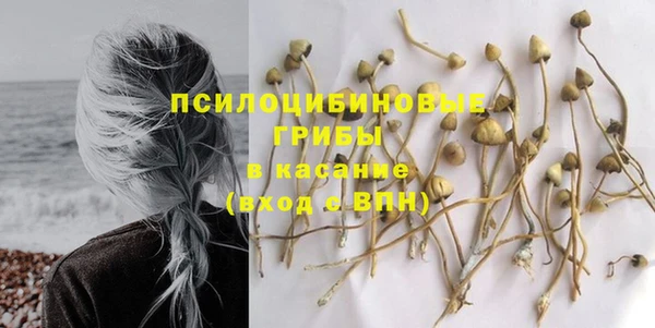хмурый Алексин