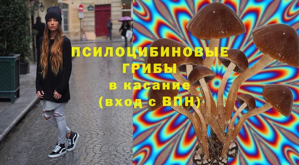 прущий лед Алзамай