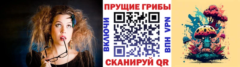 Псилоцибиновые грибы Cubensis Черкесск