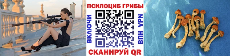 Псилоцибиновые грибы Cubensis купить наркотик Черкесск